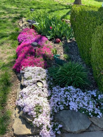 1705 Tyler Avenue, Aurora, MO 65605