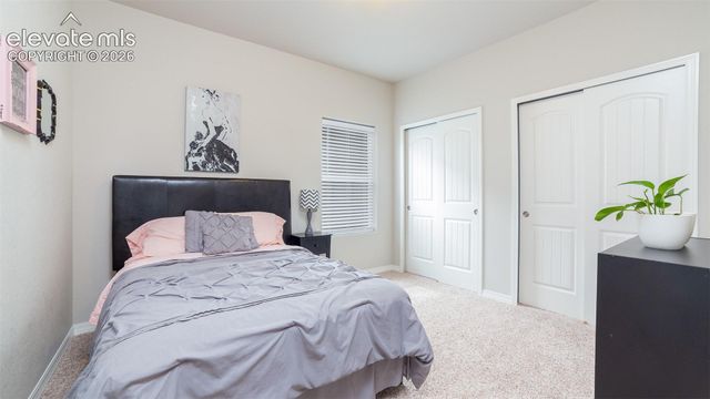 8141 Misty Moon Drive, Colorado Springs, CO 80924
