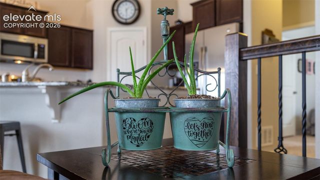 8141 Misty Moon Drive, Colorado Springs, CO 80924