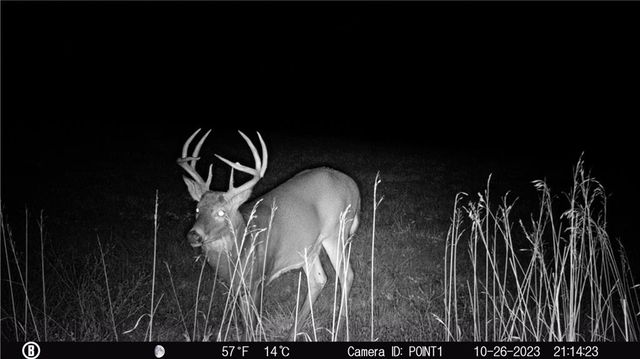 5050 SW O Highway, Trimble, MO 64492