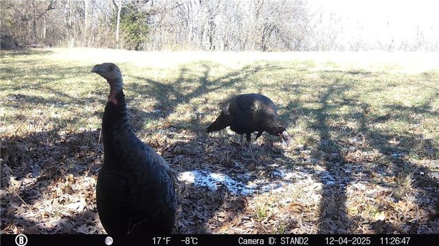 5050 SW O Highway, Trimble, MO 64492