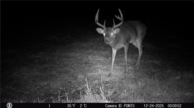 5050 SW O Highway, Trimble, MO 64492