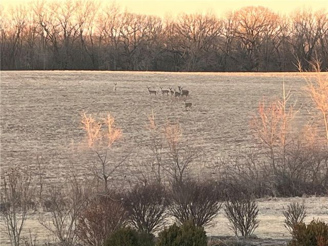 5050 SW O Highway, Trimble, MO 64492