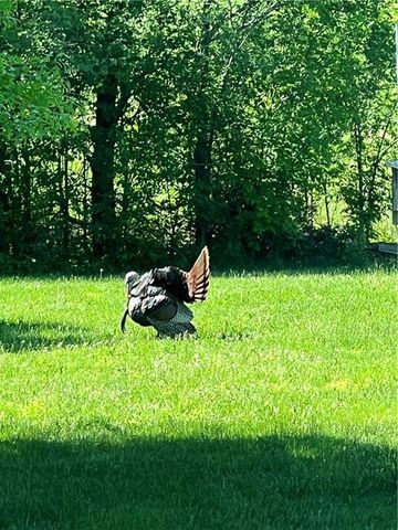 5050 SW O Highway, Trimble, MO 64492