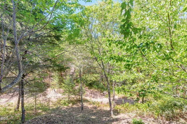 355 Madrone Ridge Drive, Grants Pass, OR 97527