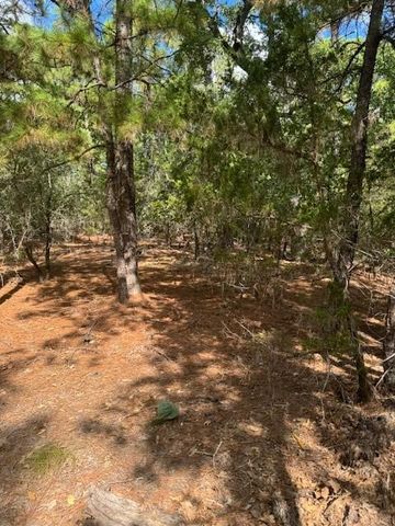 190 Molokini DR, Bastrop, TX 78602