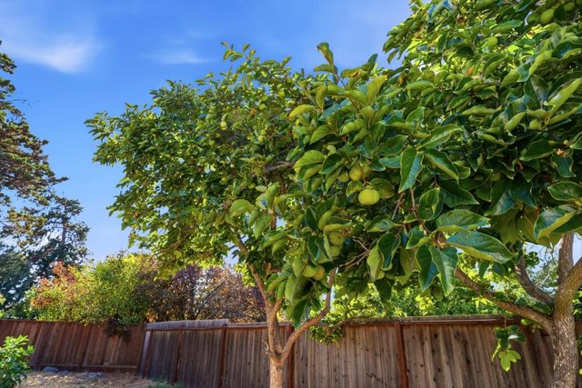 16 Clarence Court, East Palo Alto, CA 94303
