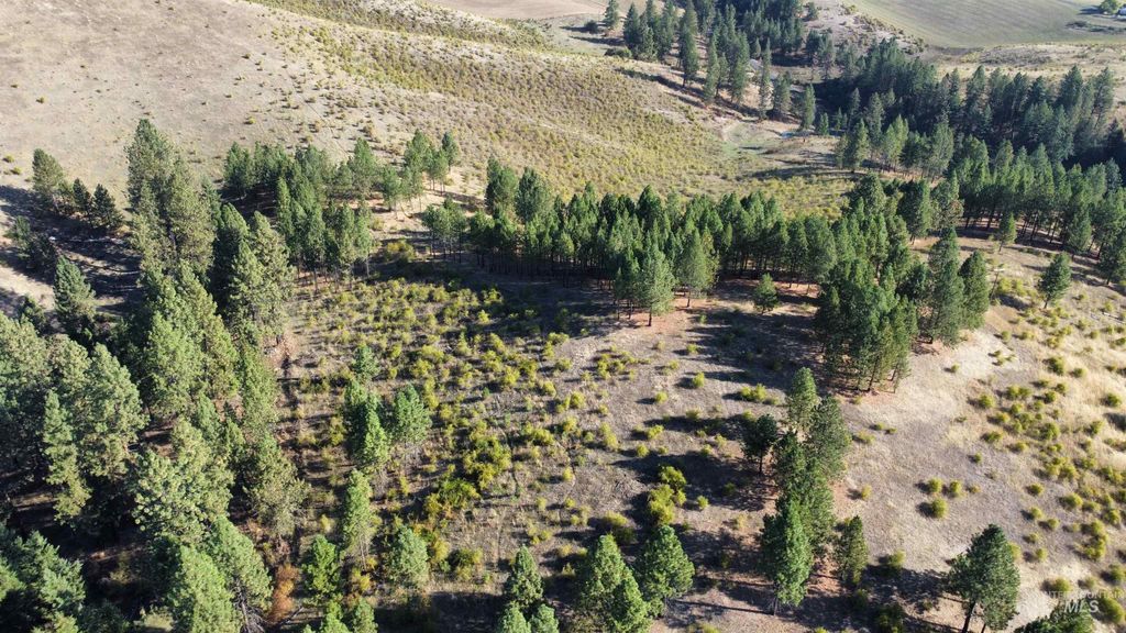 TBD Pardee Road, Kamiah, ID 83536 photo 12