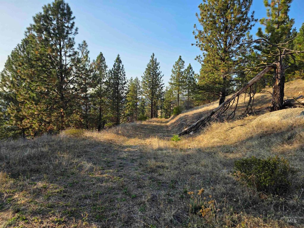 TBD Pardee Road, Kamiah, ID 83536 photo 18