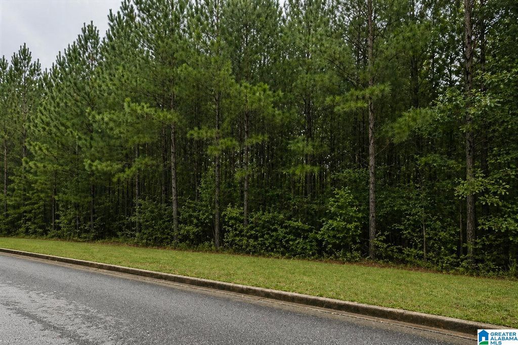1000 LONG BRANCH PARKWAY, Calera, AL 35040
