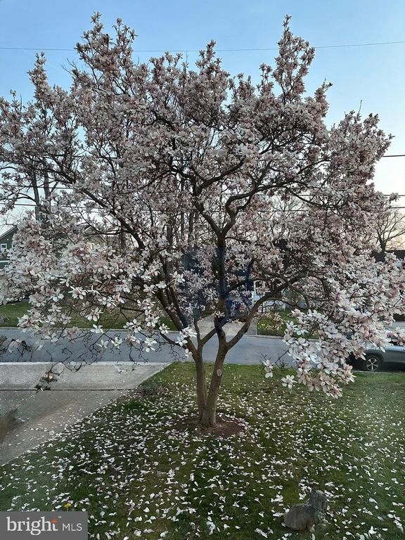 Image 15 of property listing at 6220 QUEBEC PL, Berwyn Heights, MD 20740