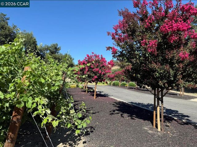 5401 Penny Ln, Danville, CA 94506
