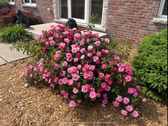 25812 91st STREET, Salem, WI 53168