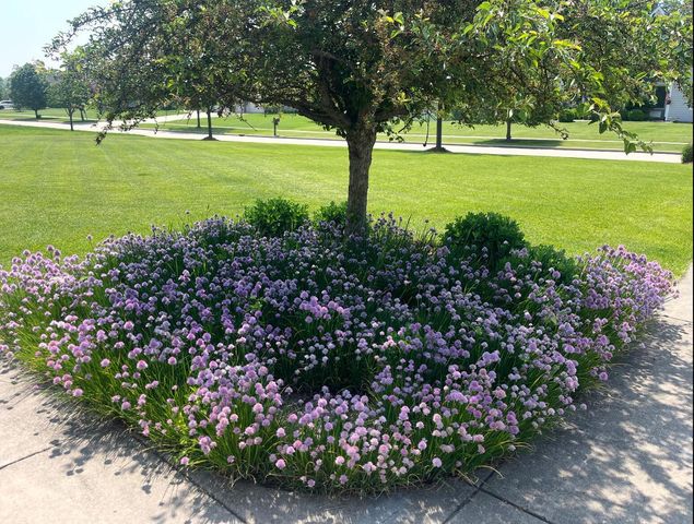 25812 91st STREET, Salem, WI 53168