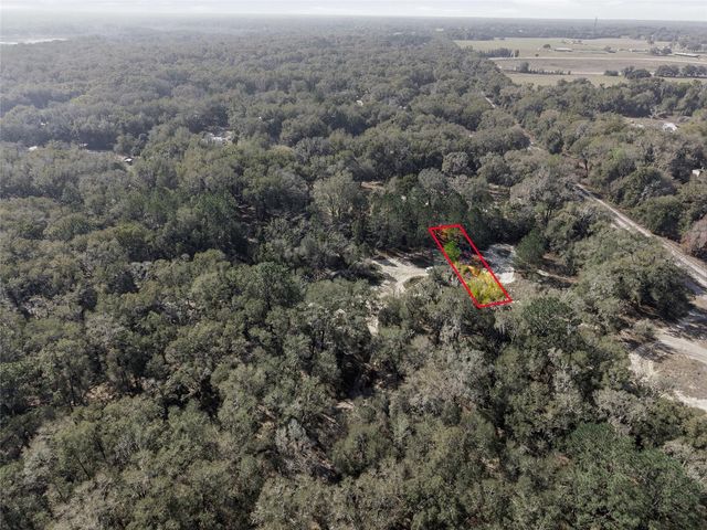 LOT 028 NE 164TH LANE, Citra, FL 32113