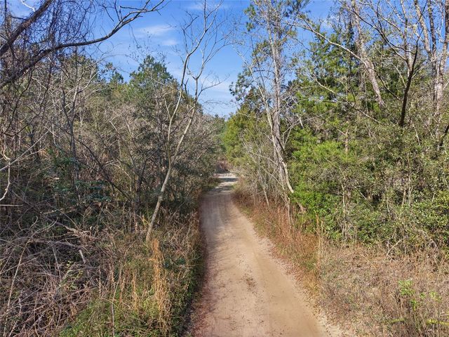 LOT 028 NE 164TH LANE, Citra, FL 32113