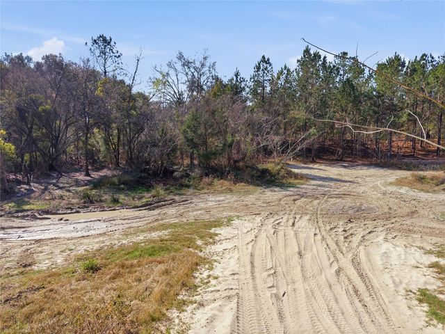 LOT 028 NE 164TH LANE, Citra, FL 32113