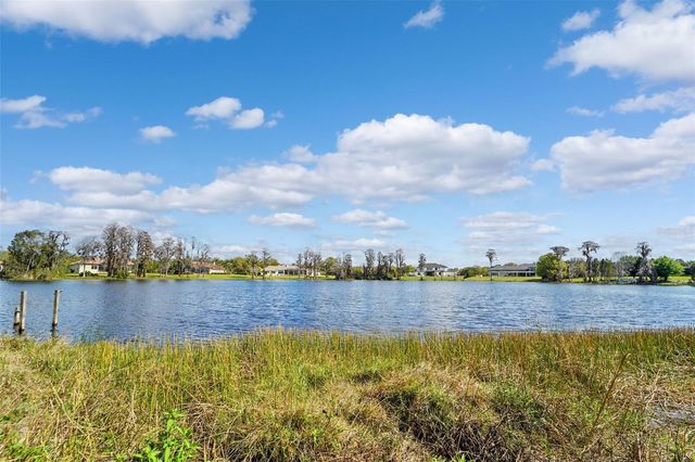 18709 WAYNE ROAD, Odessa, FL 33556