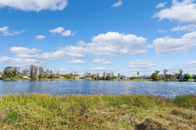 18709 WAYNE ROAD, Odessa, FL 33556