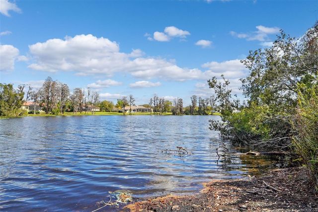 18709 WAYNE ROAD, Odessa, FL 33556