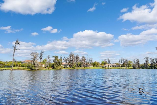 18709 WAYNE ROAD, Odessa, FL 33556