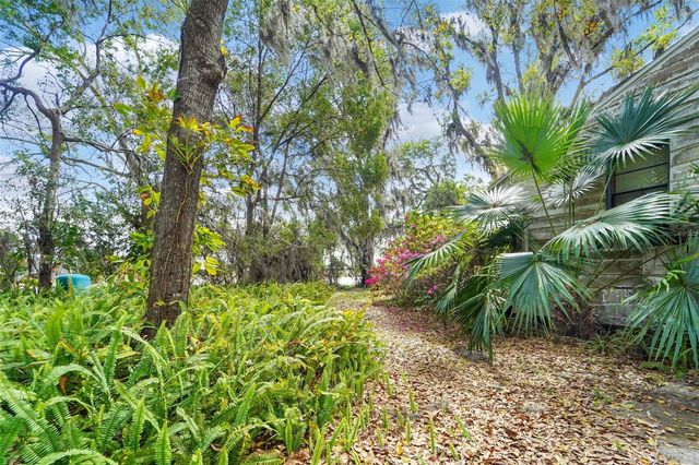 18709 WAYNE ROAD, Odessa, FL 33556