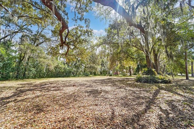 18709 WAYNE ROAD, Odessa, FL 33556