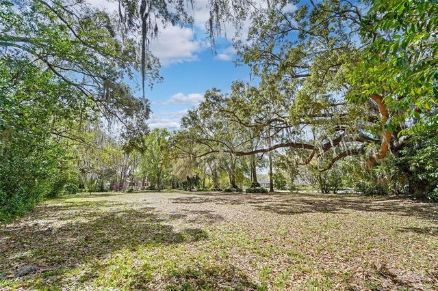 18709 WAYNE ROAD, Odessa, FL 33556