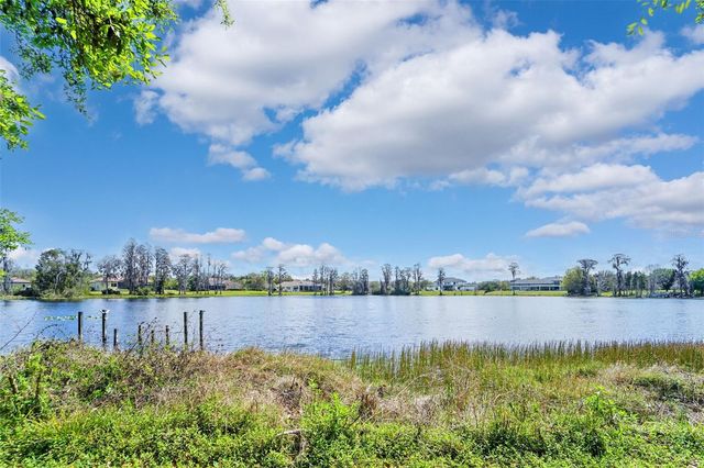 18709 WAYNE ROAD, Odessa, FL 33556