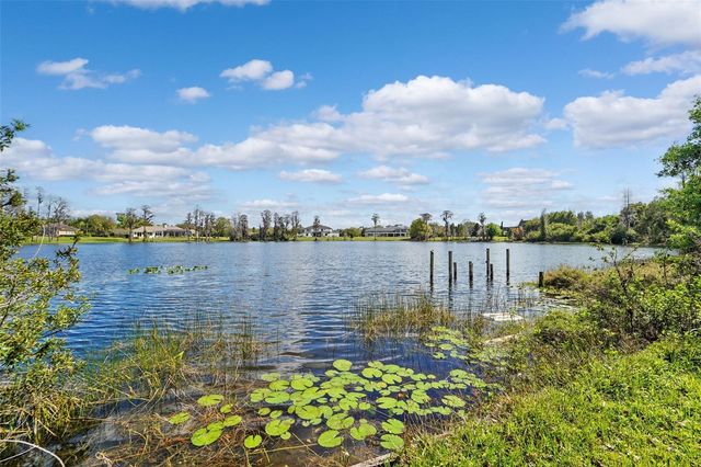 18709 WAYNE ROAD, Odessa, FL 33556