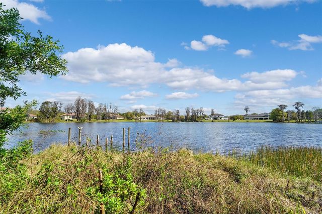 18709 WAYNE ROAD, Odessa, FL 33556