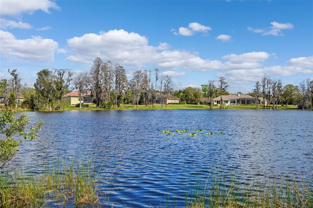 18709 WAYNE ROAD, Odessa, FL 33556