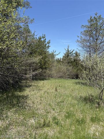 Parcel 6 Fisher Road, Howell, MI 48855