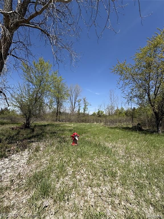 Parcel 6 Fisher Road, Howell, MI 48855