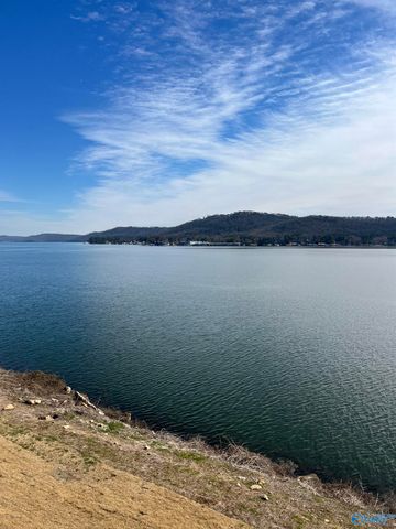 2699 Paddle Wheel Drive 304, Guntersville, AL 35976