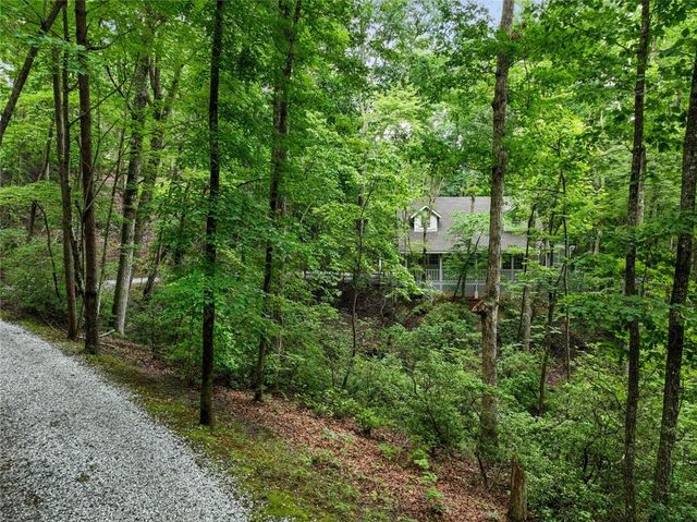 202 Crystal Hills Rd, Clarkesville, GA 30523