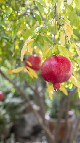 35109 Hwy 79 91, Warner Springs, CA 92086