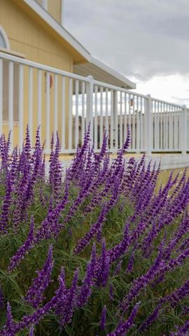 35109 Hwy 79 91, Warner Springs, CA 92086