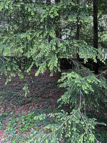 300 Westwoods Drive, Ellijay, GA 30540