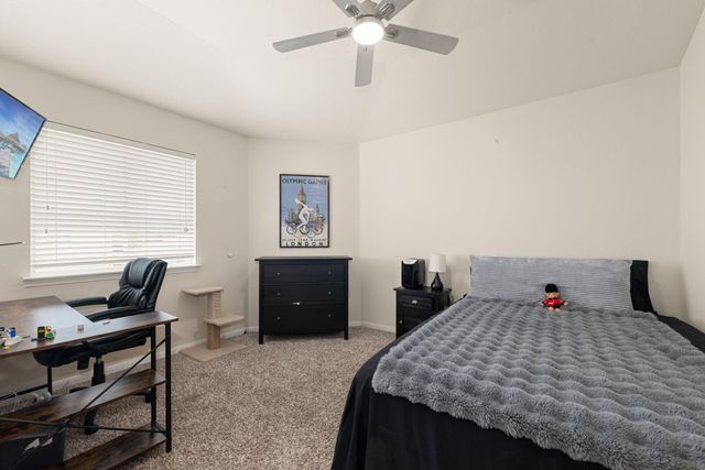 25227 Bright Hollow Lane, Katy, TX 77494