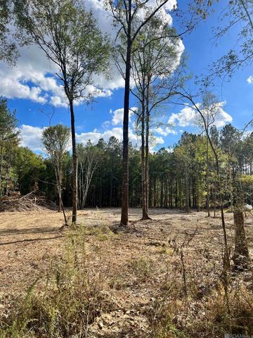 Lot 53 Nesom Rd, Denham Springs, LA 70706