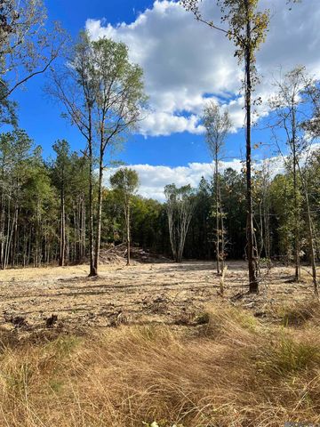 Lot 53 Nesom Rd, Denham Springs, LA 70706
