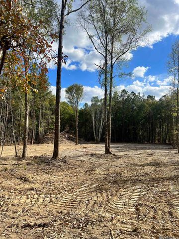 Lot 53 Nesom Rd, Denham Springs, LA 70706