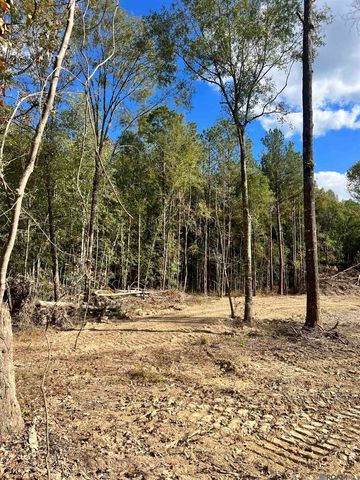 Lot 53 Nesom Rd, Denham Springs, LA 70706
