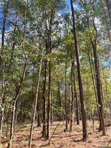Lot 53 Nesom Rd, Denham Springs, LA 70706