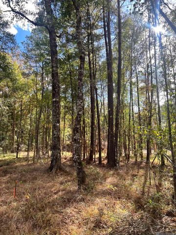 Lot 53 Nesom Rd, Denham Springs, LA 70706