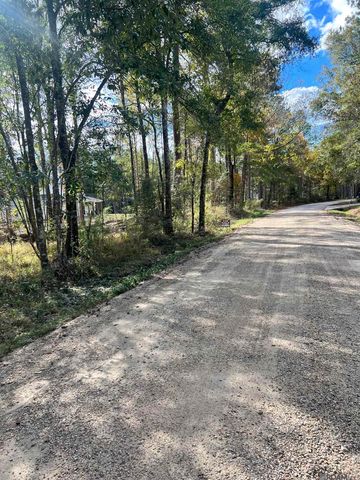 Lot 53 Nesom Rd, Denham Springs, LA 70706