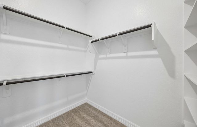 13805 Ballast Green Drive, Texas City, TX 77568