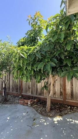 14234 Tiburon Road, San Leandro, CA 94577