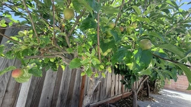 14234 Tiburon Road, San Leandro, CA 94577